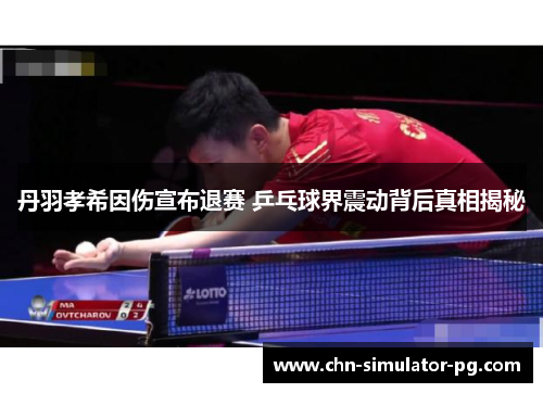 丹羽孝希因伤宣布退赛 乒乓球界震动背后真相揭秘