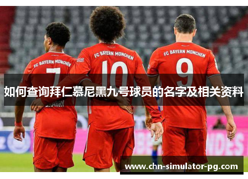 如何查询拜仁慕尼黑九号球员的名字及相关资料