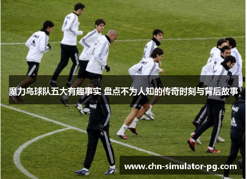 魔力鸟球队五大有趣事实 盘点不为人知的传奇时刻与背后故事 魔力鸟球队五大有趣事实 盘点不为人知的传奇时刻与背后故事