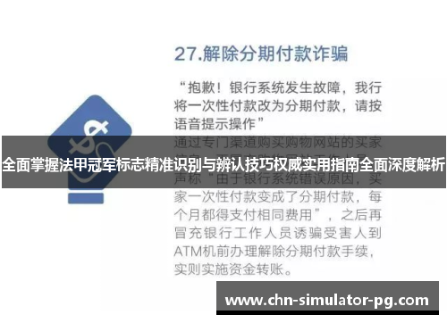 全面掌握法甲冠军标志精准识别与辨认技巧权威实用指南全面深度解析