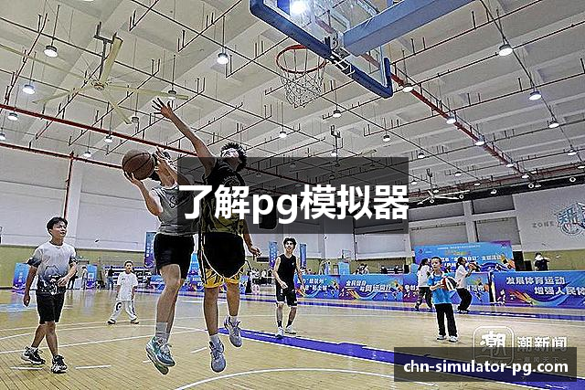 了解pg模拟器
